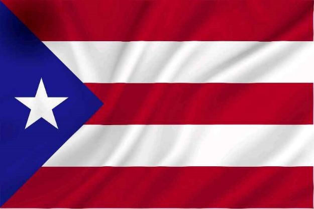 Vlag Porto Rico - 100x150cm Spun-Poly